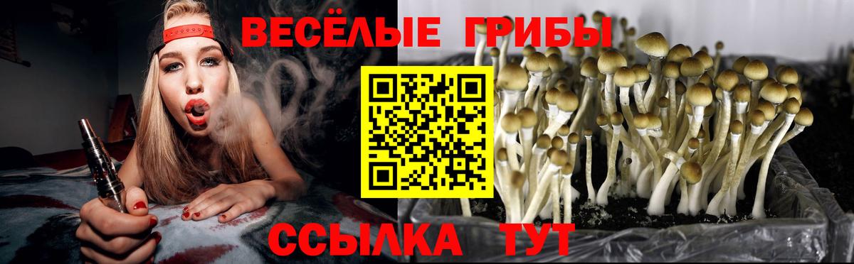 Уварово  Галлюциногенные грибы MAGIC MUSHROOMS  Вход с VPN 